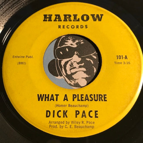 Dick Pace - Please Please Baby b/w What A Pleasure - Harlow #101 - Garage Rock - Rock n Roll
