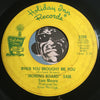 Ironing Board Sam - When You Brought Me You b/w Raining In My Heart - Holiday Inn #2208 - Soul