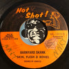 Starlites / Skin Flesh & Bones - Healing In The Barnyard b/w Barnyard Skank - Hot Shot #1803 - Reggae