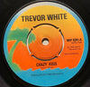 Trevor White - Crazy Kids b/w Movin' In The Right Direction - Island #6291 - Punk