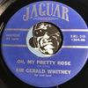 Clem Hutchins & Haymakers - Oh My Pretty Rose b/w Oh My Pretty Rose - Jaguar #1204 - Country