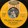 Meters - Cissy Strut b/w Here Comes The Meter Man - Josie #1005 - Funk