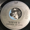Stevie B - Dreamin Of Love b/w same (instrumental) - LMR #74001 - Funk Disco - Rap