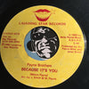 Payne Brothers - Skate b/w Because It's You - Laughing Star #421 - Funk