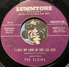 Elgins - I Lost My Love In The Big City b/w Finally - Lummtone #112 - Doowop - R&B Soul