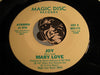 Mary Love / Santa's Disco Band