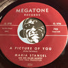 Maria Stansel - Can I Come Home b/w A Picture Of You - Megatone #703 - R&B - Colored Vinyl