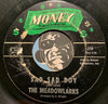 Meadowlarks - Sad Sad Boy b/w Can You Do The Duck - Money #115 - Sweet Soul - Northern Soul