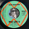 Eliza Gilkyson - What Love Is b/w same - Montclare #1444 - Country