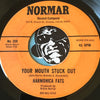 Harmonica Fats - Granny in the Groove b/w Your Mouth Stuck Out - Normar #358 - Funk - Blues