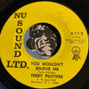 Terry Pilittere - You Wouldn't Believe Me b/w It's Not That Way - Nu Sound Ltd #6112 - Garage Rock - Psych Rock