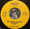 Cheryll Ann - Here Comes Another Teardrop b/w I'm Not Supposed To See You Anymore - Parsay #2001 - Teen