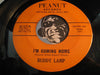 Buddy Lamp - Have Mercy Baby b/w I'm Coming Home - Peanut #1001 - R&B Soul