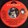James Brown & The New JB's - If You Don't Give A Doggone About It b/w People Who Criticize - Polydor #14438 - Funk