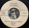 Larry King & Rhythm Kings- High Flame b/w When You Reach The Bottom - Promotional #230 - Country