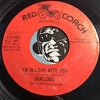 Shalong - I'm In Love With You b/w same – Red Coach #803 - Sweet Soul