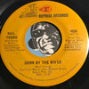 Neil Young - Down By The River b/w The Losing End (When You're On) - Reprise #0836 - Rock n Roll