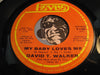 David T Walker - My Baby Loves Me b/w Can I Change My Mind - Revue #11060 - Soul