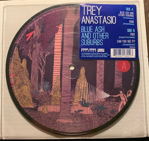 Trey Anastasio - Blue Ash And Other Suburbs - Gone b/w Tree - Can You See It? - Rubber Jungle #0184 - Rock n Roll - 2000's - Picture Disc