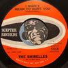 Shirelles - Don't Say Goodnight And Mean Goodbye b/w I Didn't Mean To Hurt You - Scepter #1255 - Girl Group - R&B Soul