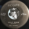 Trends - Silly Grin b/w Once Again - Scope #102 - Doowop - Rock n Roll