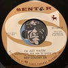 New Colony Six - I'm Just Waitin (Anticipatin For Her To Show Up) b/w Hello Lonely - Sentar #1207 - Garage Rock