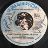 Richmond Extension - Everything's Coming Up Love b/w Girls Were Made To Love - Silver Blue #811 - Sweet Soul