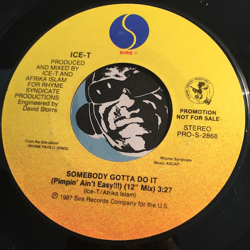 Ice T - Somebody Gotta Do It (Pimpin Ain't Easy) b/w same - Sire #2868 - Rap