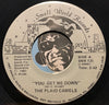 The Plaid Camels - You Got Me Down b/w Burning Blue - Small World #131 - Rock n Roll - 80's
