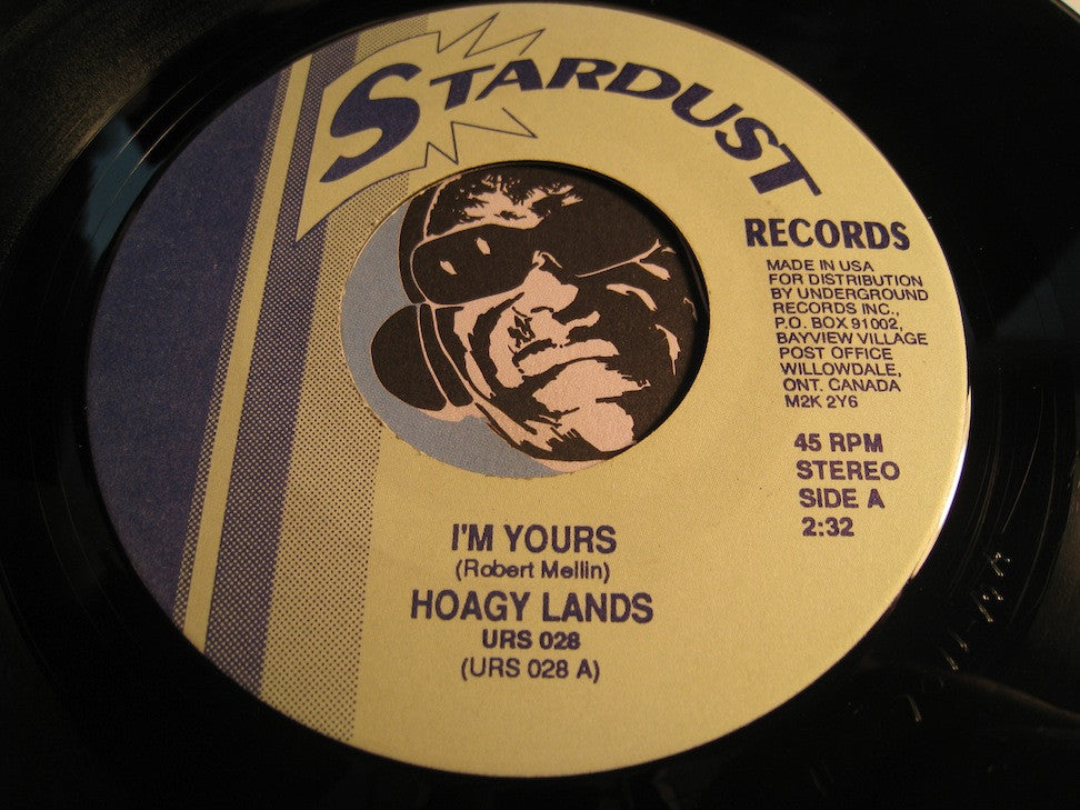 Hoagy Lands