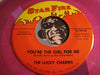Lucky Charms - You're The Girl For Me b/w Born To Be Lonely - Star Fire #107 - purple vinyl - Doowop