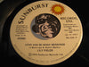 Lily Fields - Love Has So Man Reasons (vocal) b/w same (instrumental) - Sunburst #536 - Funk Disco