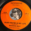 Brandon Bray - Glad You're In My Life b/w This Thing They Call Love - Sunshine #576 - Soul