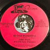 Jerry White & Soul Steppers - Let Your Body Move b/w Be Ever Wonderful - Taylor #104 - Modern Soul - Funk Disco