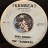 Teenbeats - Mr Moto b/w Surf Bound - Teenbeat no # - Surf