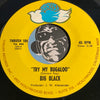 Big Black - Try My Bugaloo b/w Two Moonlins And Mother - Thrush #104 - Funk