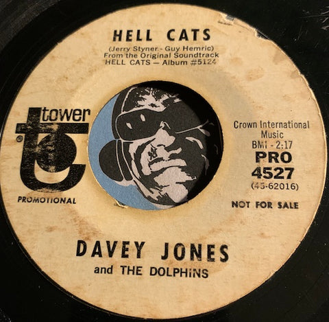 Davey Jones & Dolphins - Hell Cats b/w The Only Way To Fly - Tower #4527 - Rock n Roll - Garage Rock