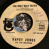 Davey Jones & Dolphins - Hell Cats b/w The Only Way To Fly - Tower #4527 - Rock n Roll - Garage Rock