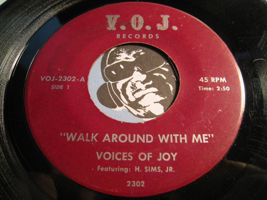 Voices Of Joy