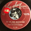 Magnificents - Why Did She Go b/w Up On The Mountain - Vee Jay #183 - Doowop