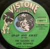 Sounds of Jack Downes - (One More Day Without You) Un Dia Mas Sin Ti b/w Up Up And Away - Vistone #2049 - Surf - Novelty