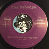 Nobodys - Sex Is A Bottomless Pit b/w Boiling In The Melting Pot - Whatever #7136 - Punk