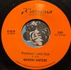 Blood Sisters / Nairobi Sisters - Ring My Bell b/w Promised Land Dub - Ximeno #05 - Funk Disco - Reggae
